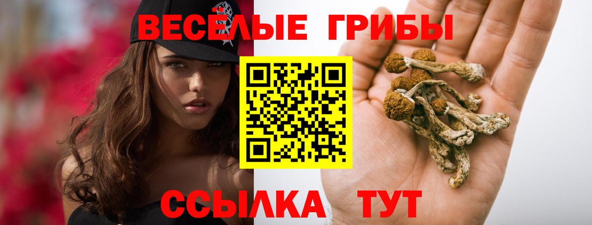 Уварово  Галлюциногенные грибы ЛСД  Галлюциногенные грибы GOLDEN TEACHER  сколько стоит  Вход с VPN 
